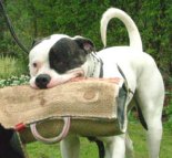 Puppy sleeve made of jute