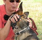 Fur Saver Dog Collar