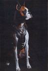 Exclusive Luxury Handcrafted Padded Leather Dog Harness with Brass Hardware
