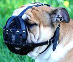 Everyday Light Weight Super Ventilation English Bulldog muzzle - product code : M41