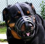 Everyday Light Weight Super Ventilation Rottweiler muzzle