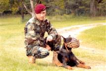 Sargent Major Limp wearing our Leather basket dog muzzle - proud owner Travis Brewer