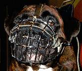 wire dog  muzzle for Boxer