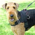 Nylon multi-purpose dog harness for tracking / pulling with extra handle.This harness is widely used by Airedale Terrier owners