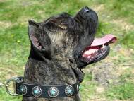 Handcrafted Leather Dog Collar For Large Breeds With Silver Plated Circles and With Blue Stones