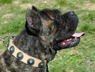 Handcrafted Leather Dog Collar For Large Breeds With Silver Plated Circles and With Blue Stones