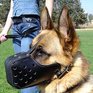 leather-dog-muzzle-padded-agitation-attack-police-schutzhund-k9-service.jpg