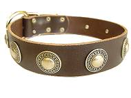 silver conchos dog collar - Handcrafted Leather Dog Collar For Large and Medium Breeds With Silver Conchos