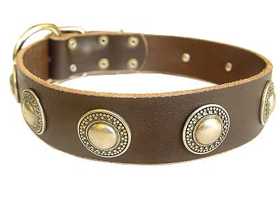 silver conchos dog collar - Handcrafted Leather Dog Collar For Large and Medium Breeds With Silver Conchos