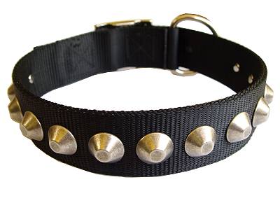  Fashion Collars on Gorgeous Wide Nylon Dog Collar   Fashion Exclusive Design   C275nylon