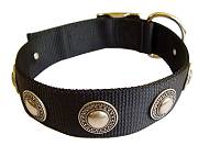 Handcrafted Nylon Dog Collar For Large and Medium Breeds With Silver Conchos