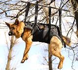 Tactical Insertion Harness