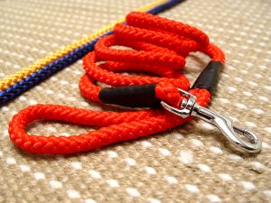cord-nylon-dog-leash-red-2-dog.jpg