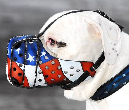 image: dog-muzzle-art-muzzle-designed-american-pride-muzzle