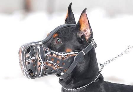Hand painted by our artists leather Muzzle 