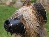 Everyday Briard Leather dog muzzle - product code : M51
