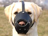 Everyday Labrador Leather dog muzzle - product code : M51