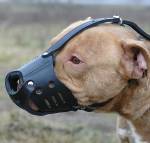 Everyday Pitbull Leather dog muzzle - product code : M51