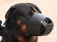 Everyday Rottweiler Leather dog muzzle - product code : M51