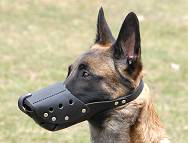 Everyday Leather dog muzzle For Malinois - M71