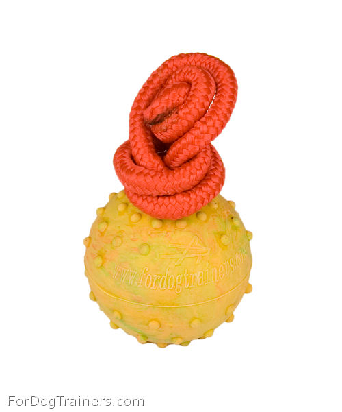 Dog training ball