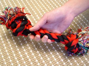 dog-toy-healthy-rope-bone-hand-dog.jpg