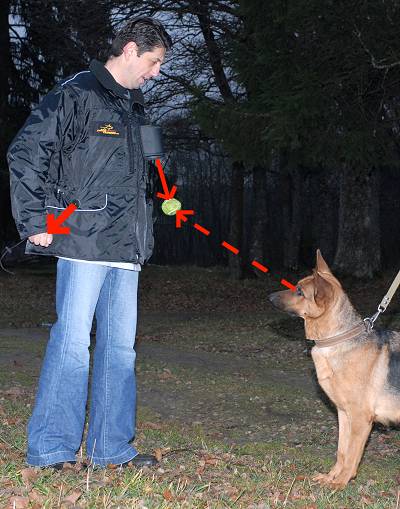 Ultimate Dog Training Vest