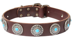 Handcrafted Leather Dog Collar For Large Breeds With Silver Plated Circles and With Blue Stones