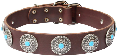 Handcrafted Leather Dog Collar For Large Breeds With Silver Plated Circles and With Blue Stones