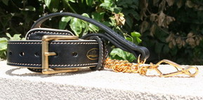 Royal Nappa Padded Hand Made Leather Dog Collar - code: C443