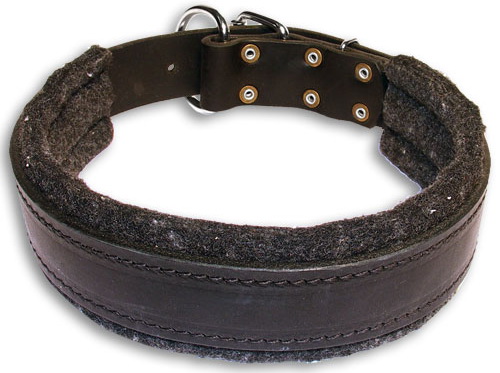 leather collar leather collar