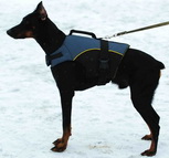 Nylon dog harness for tracking / pulling Designed to fit Doberman