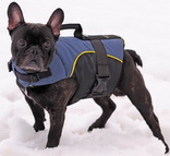 Nylon dog harness for tracking / pulling Designed to fit Dogue De Bordeaux