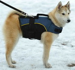 Nylon dog harness for tracking / pulling Designed to fit siberian-husky