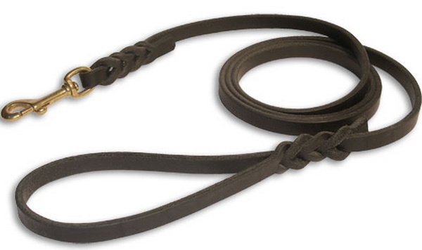 trader wearing our exclusive handcrafted leather dog leash for dog leash 600x356