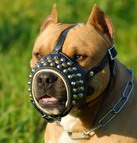 Royal Studded Leather Dog Muzzle - product code : M62