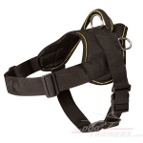 All Weather Nylon Dog Harness with Handle for Walking and Training