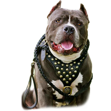 Leather Pitbull Dog Leash Braided Handcrafted Leather Dog Leash