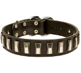 Dazzling leather dog collar with shiny plates Dazzling leather dog collar with shiny plates
