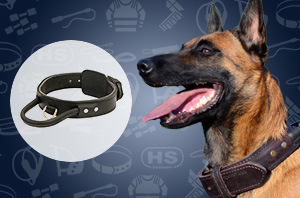 Leather Dog Collar