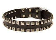 New leather dog collar - Fashion Exclusive Design - "Caterpillar" New leather dog collar - Fashion Exclusive Design - "Caterpillar"