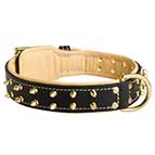 Gorgeous Leather Collar with Two Rows of Awesome Brass Spikes Gorgeous Leather Collar with Two Rows of Awesome Brass Spikes