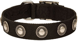 Gorgeous Wide Nylon Dog Collar - Fashion Exclusive Design - c273nylon