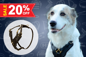 Nylon Dog Harness