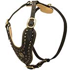 Designer Padded Leather Dog Harness for Walking and Training Designer Padded Leather Dog Harness for Walking and Training