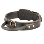 Extra Durable 2 Ply Leather Dog Collar with Handle