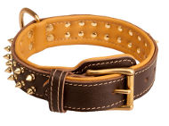 Gorgeous Leather Collar with Two Rows of Awesome Brass Spikes