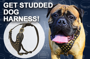 Leather Dog Harness