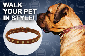 Leather Dog Collar