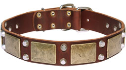 Gorgeous War Dog Leather Collar - C85 (old brass massive plates +2 nickel pyramids) Gorgeous War Dog Leather Collar - C85 (old brass massive plates +2 nickel pyramids)